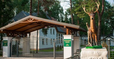 Серебряный родник